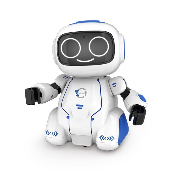 Tech & Play: Smart talking & path following robot